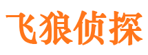 陵川侦探